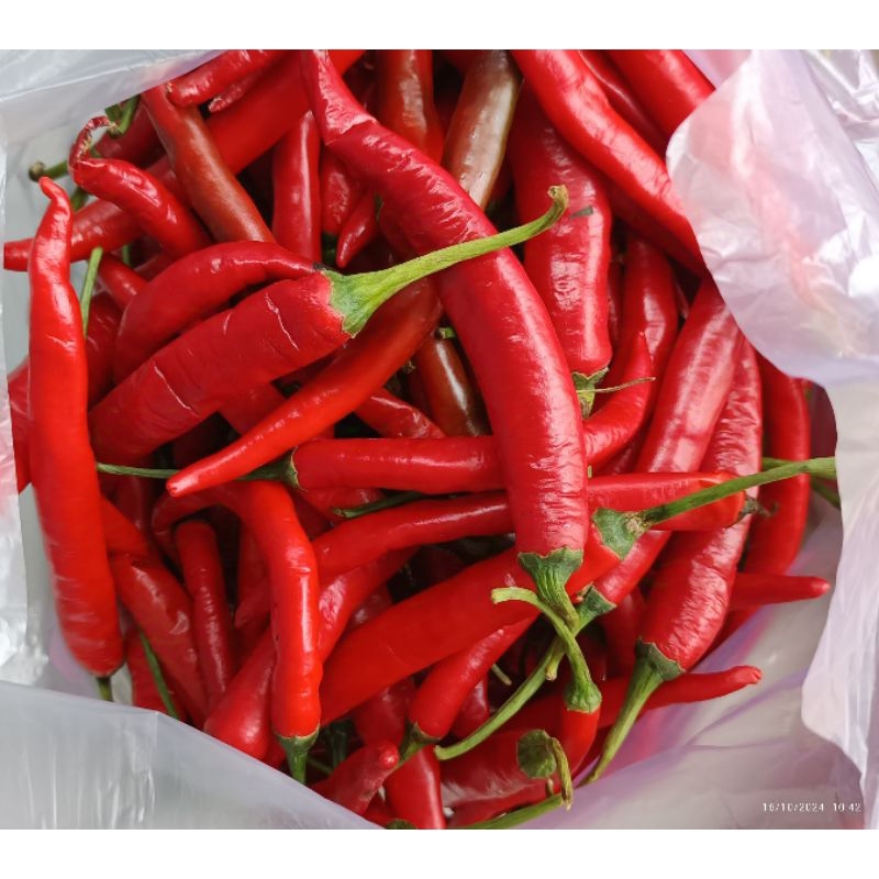 

Cabai Merah Besar 1kg