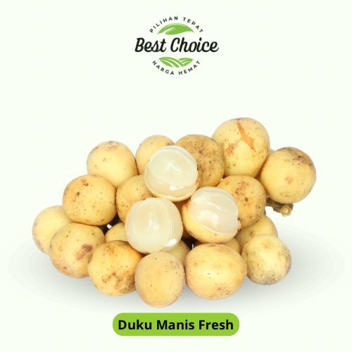 

Duku Palembang Super Berat 1 kg (Pengiriman Medan) - BEST Fresh Food