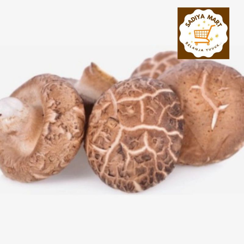 

Jamur Shitake 100 gram, 250 gram