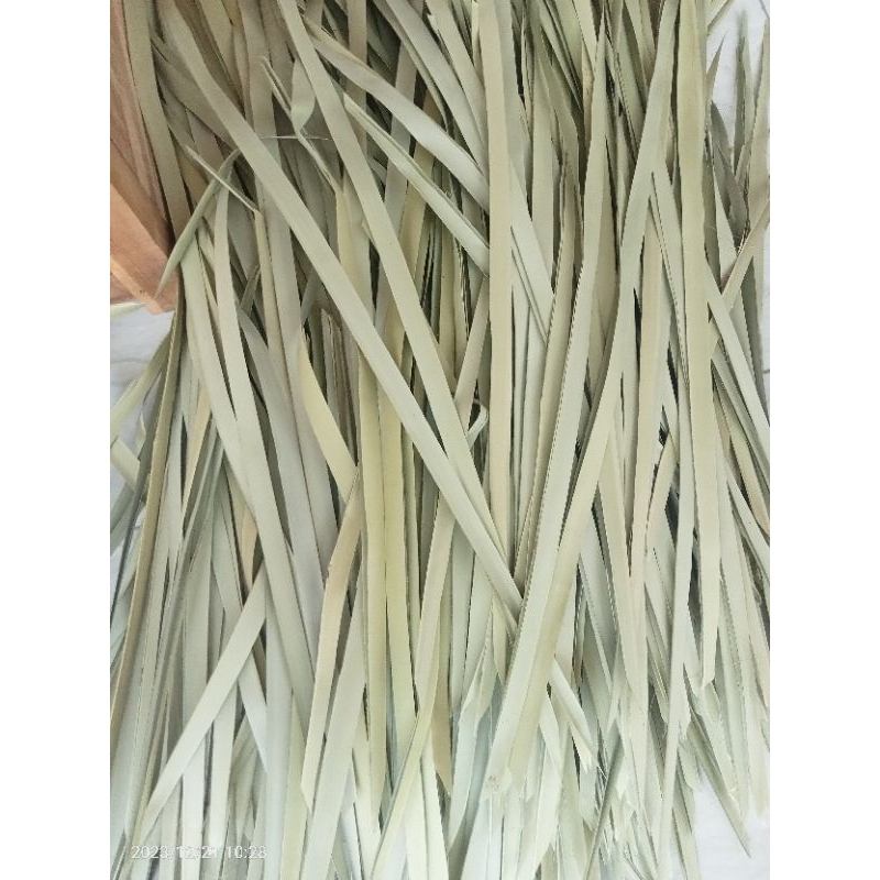 

Daun Siwalan / Lontar TUA Bahan Keterampilan & Kerajinan Tangan (Minimal 50 HELAI) Kering