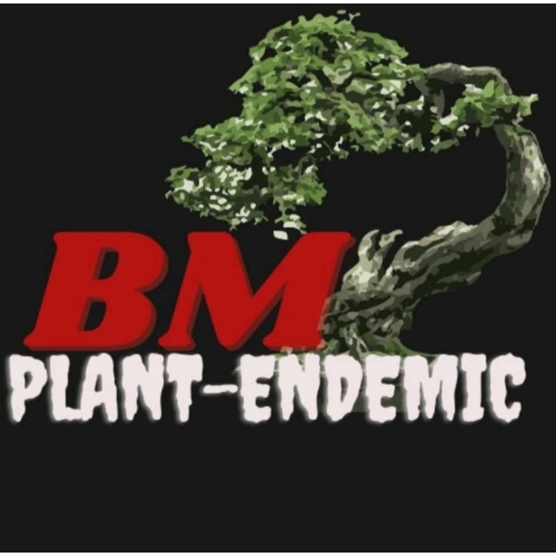 bonsai sancang shito mame 350 pot keramik