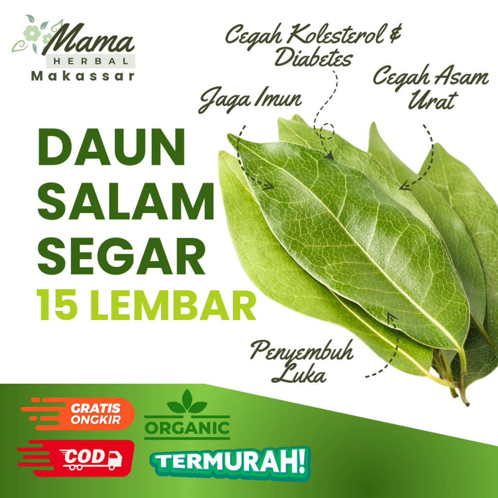 

Daun Salam Segar 15 Lembar Fresh Baru Dipetik Obat Kolesterol Diabetes Asam Urat Luka COD Makassar
