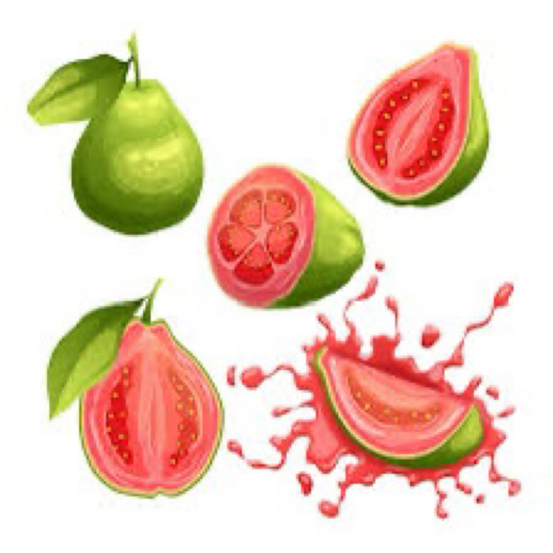 

(BISA COD) MINUMAN NUSANTARA GUAVA 500ML