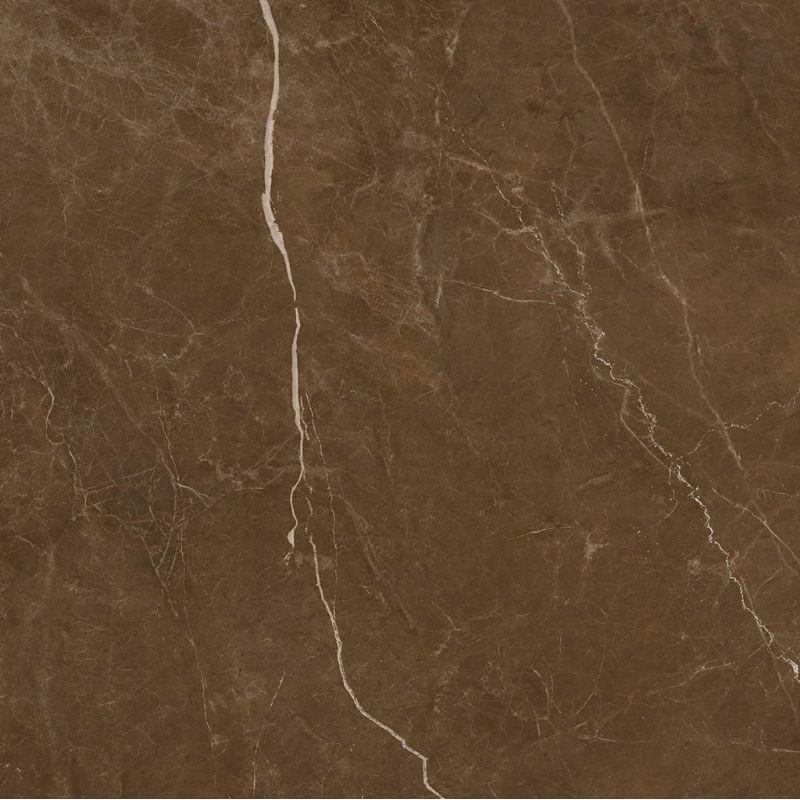 Granite Lantai 60x60 Ishana Dark Brown | Glazed Polish | Arna