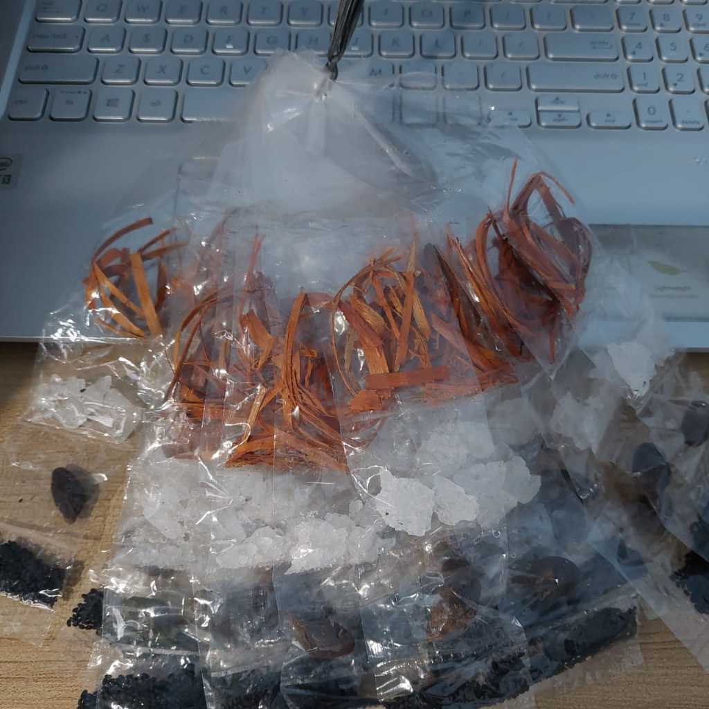 

KEMBANG SEMANGKOK / RAMUAN SEMPAYANG - MENGOBATI PANAS DALAM, SARIAWAN, SUSAH MENELAN