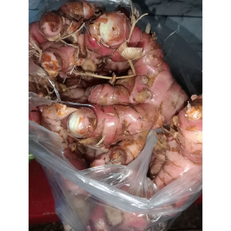 

rimpang lengkuas berat 500gr
