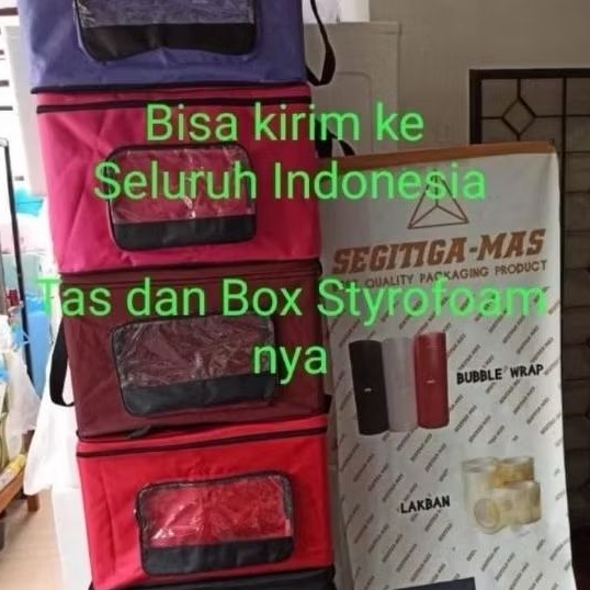 1 Set|komplit|Tas+box styrofoam10 kg| 52x37x34 cm| untuk ice cream/ minuman dingin/ pemancing / cool