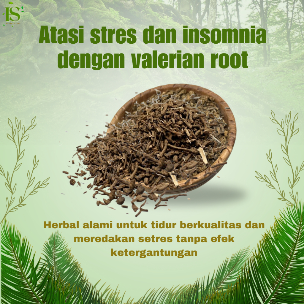 

Teh Akar Valerian Herbal Alami Unuk Setres, Ganguan Kecemasan, Anxiety dan Insomnia