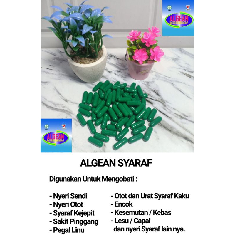 

Herbal ALGEAN Syaraf 50 Kapsul