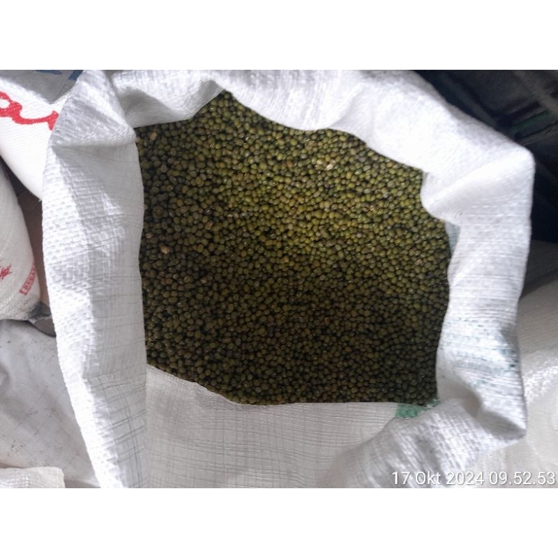 

KACANG HIJAU ANEKA UKURAN