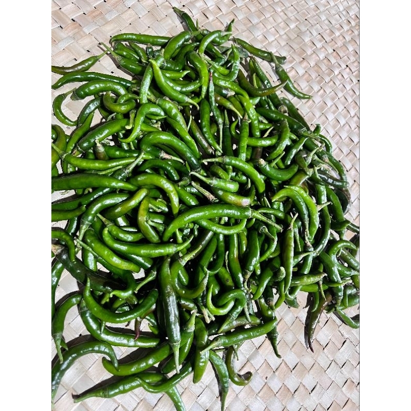 

Cabai Besar Hijau 500gr Banyuwangi