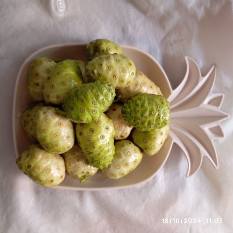 

MENGKUDU FRESH 1KG BUAH SEGAR 1000GRAM