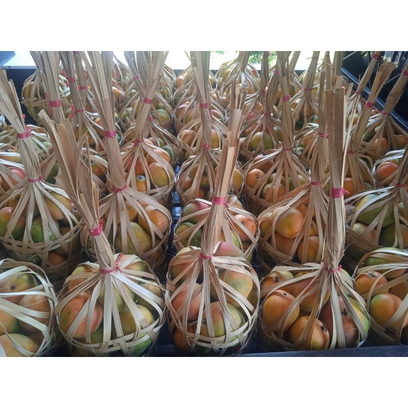 

Mangga Gincu Majalengka 5 kg