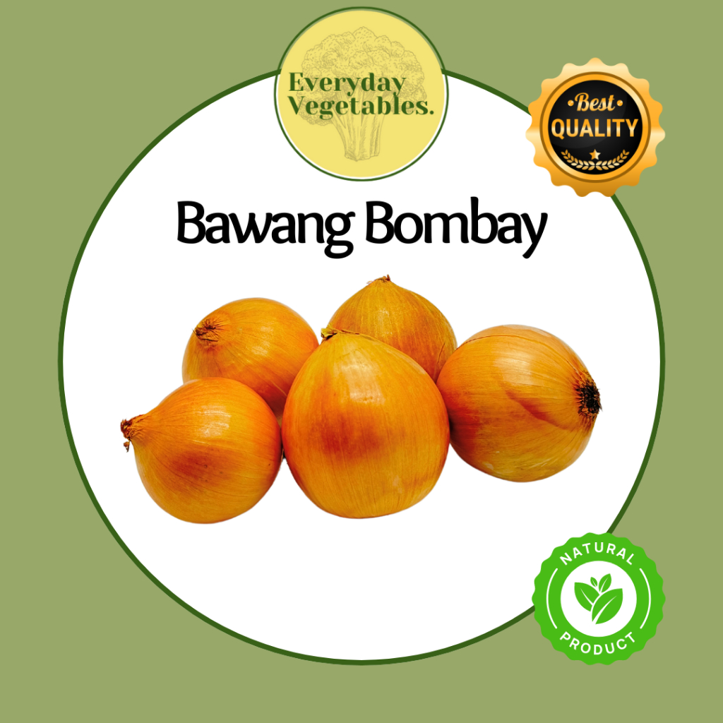 

Bawang Bombay HL 60/80 per KG