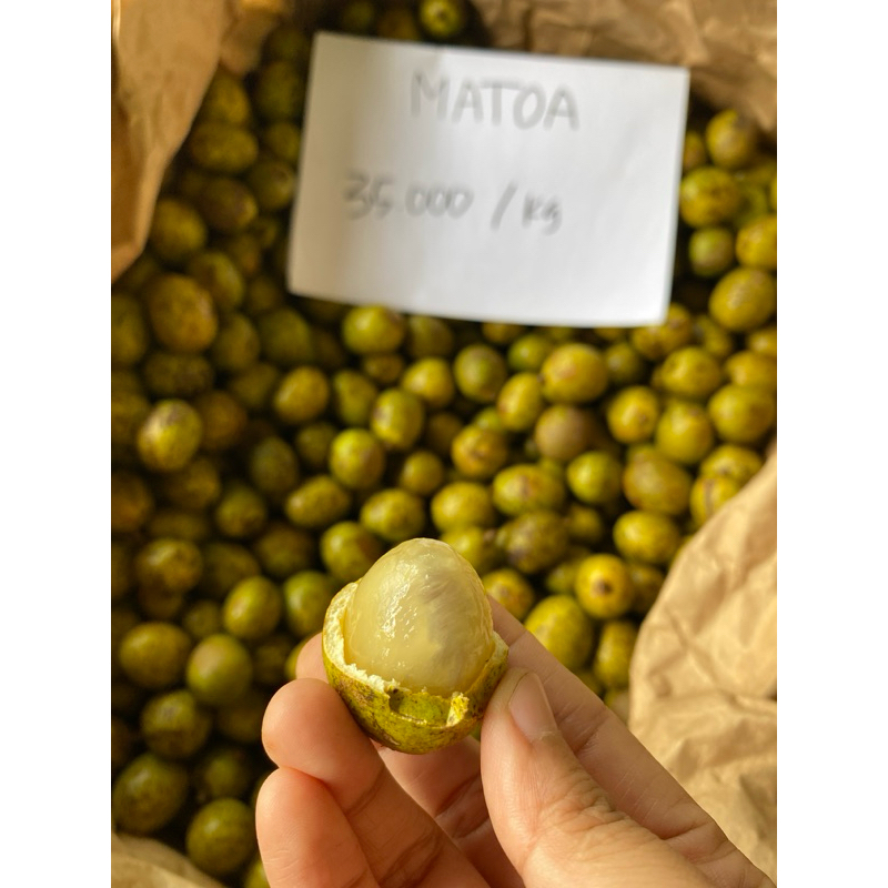 

Matoa