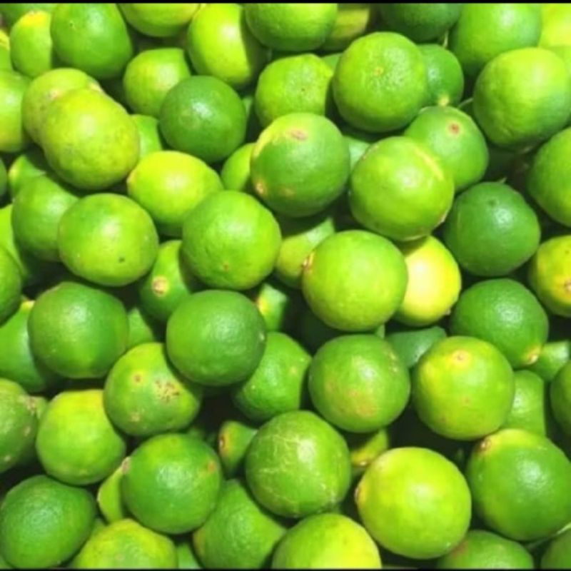 

JERUK NIPIS SEGAR 1 Kg