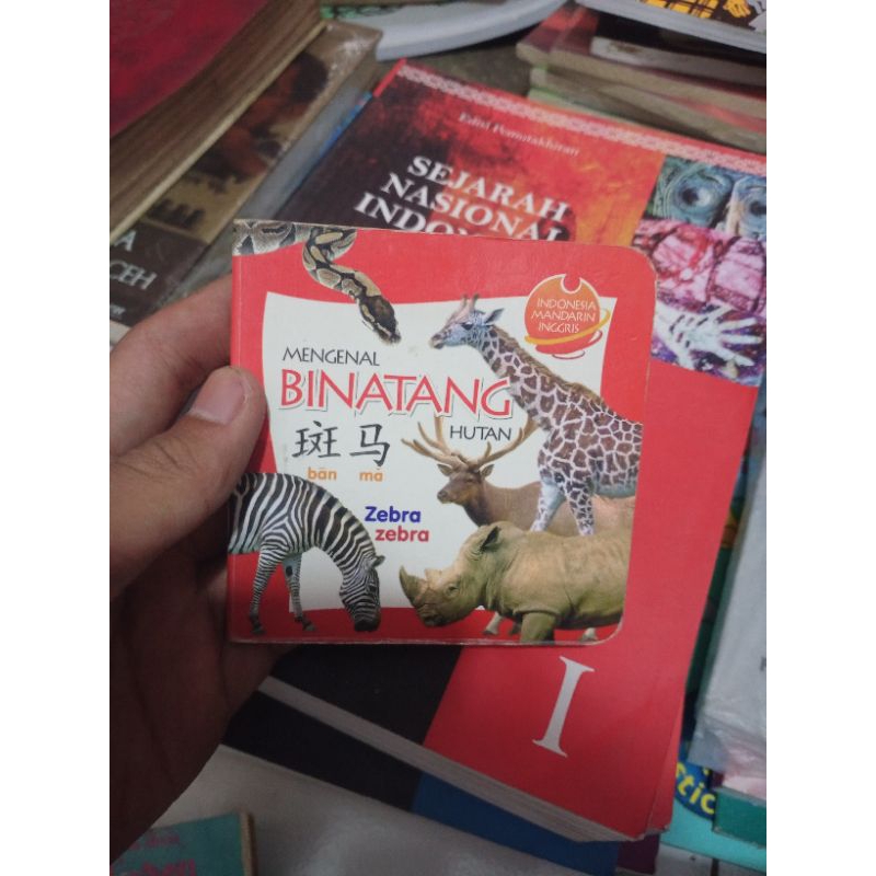 buku anak-anak mengenal binatang hutan