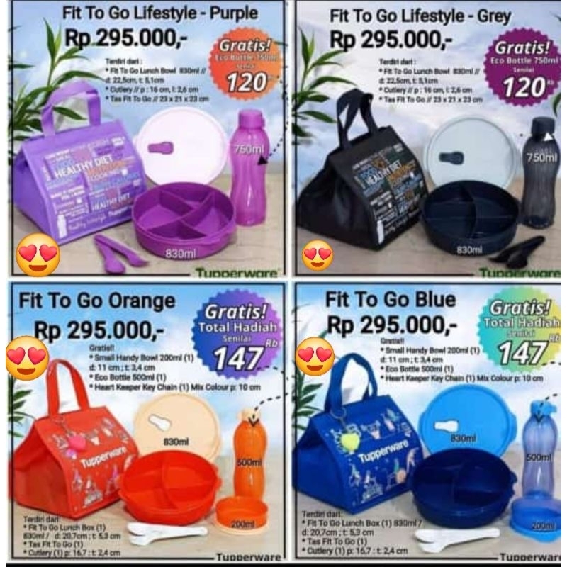 Fit To Go Tupperware