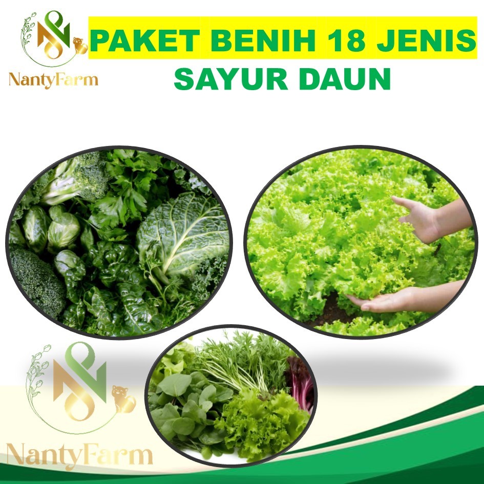 Paket Benih 18 Jenis Sayur Daun Benih Sayuran Rumahan Benih Sayur Daun