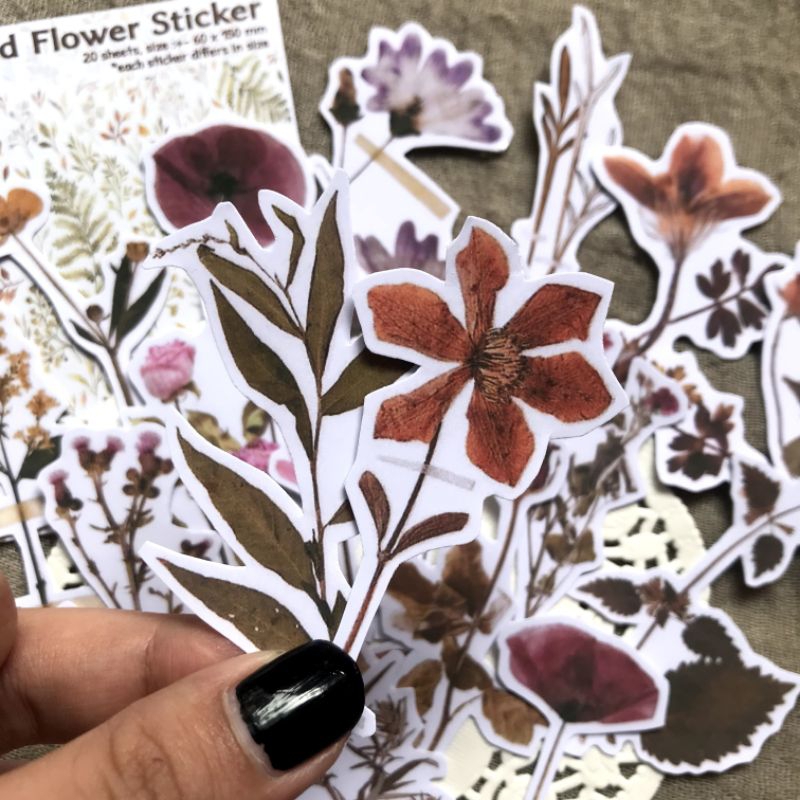 

<pressed flower sticker> sticker bunga geprek, sticker bunga kering, flower sticker for jurnal, journaling, for scrapbook, sticker deco, sticker aesthetic, sticker retro, sticker vintage