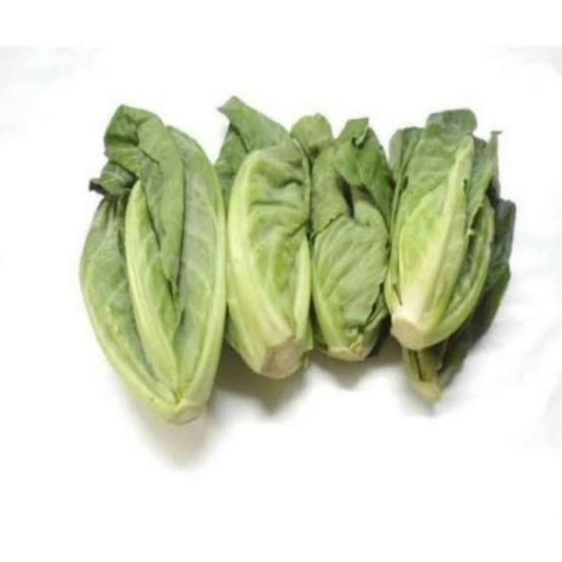 

sawi ciciwis / sawi cuciwis 250 GR