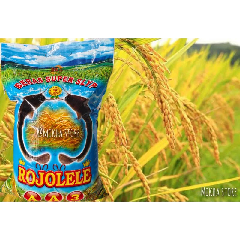 

Beras rojolele super 10 kg - free ongkir