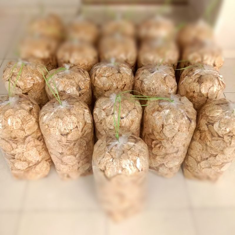 

KRIPIK TEMPE SAGU kiloan