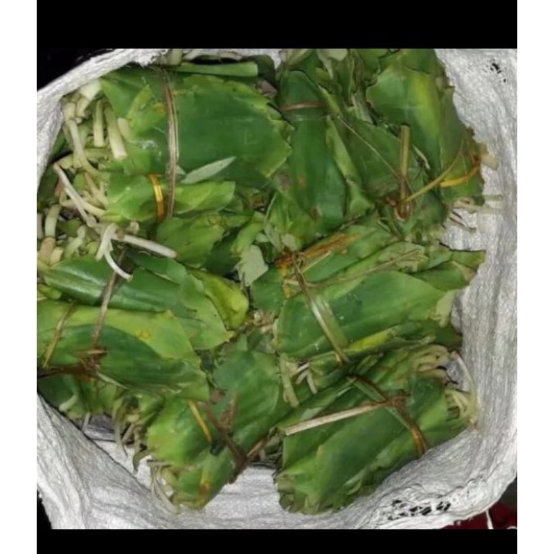 

Ready Daun Kencur 500gram Segarr Fresh
