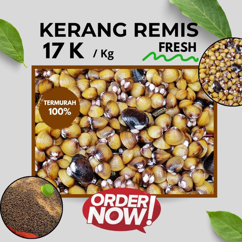 

Kerang Remis Air Tawar 1 Kg Fresh Termurah