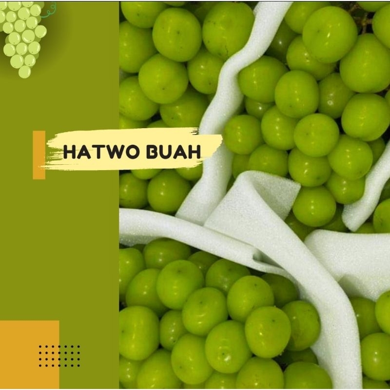

Hatwo Buah Anggur hijau shine muscat super import fresh 500 gr