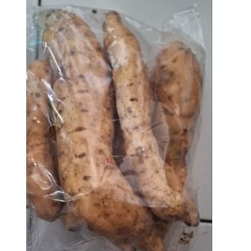 

ubi cilembu fresh 1 kg