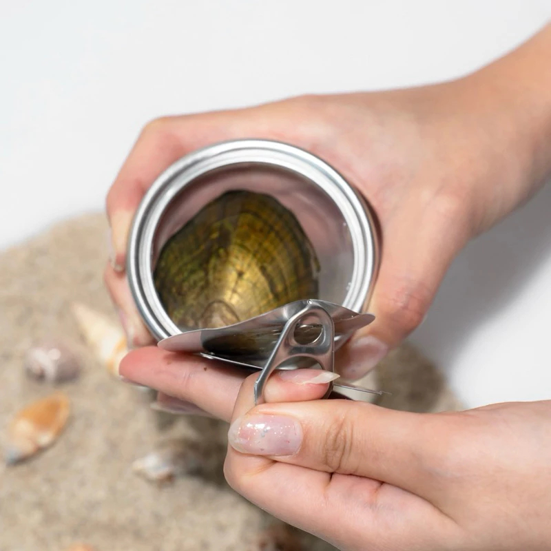 [READY] Kalung Mutiara Kerang Tiram Asli Oyster Necklace Oyster Hadiah Anniversary Birthday Gift