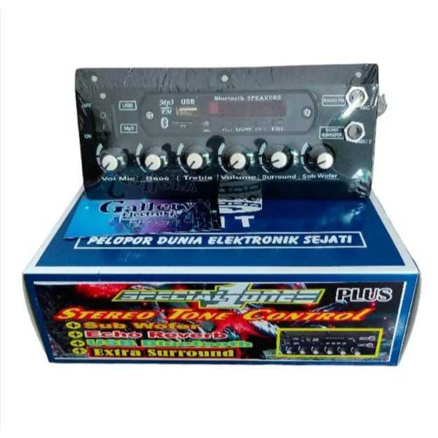 Aktif Tone Control + MP3 Bluetooth ECHO 2mic Karaoke