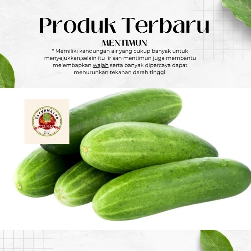 

Sayur Fresh 250Gr 500gr 1Kg Timun mentimun bagus langsing fast delivery