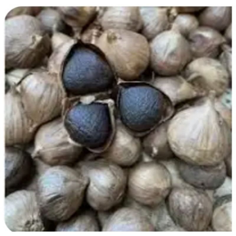 

Bawang Putih Hitam / Black Garlic Premium