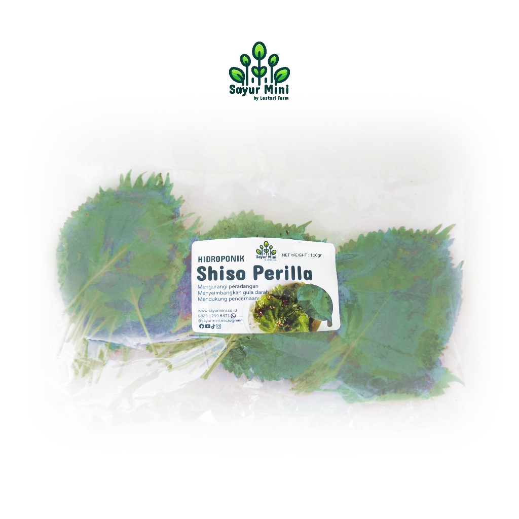 

SAYUR MINI Hidroponik Shiso Perilla / Ohba Jepang 100gr - Fresh Cut - Hydroponics