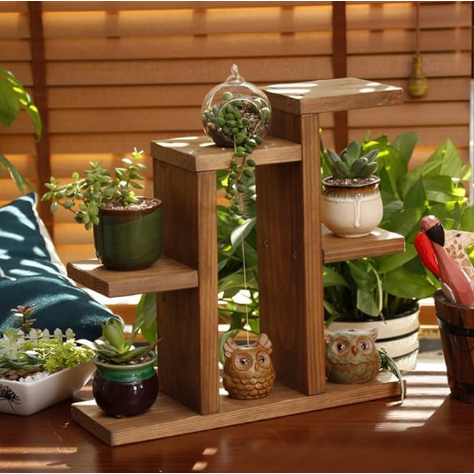 Rak Kayu Jati Tanaman Tingkat Unik