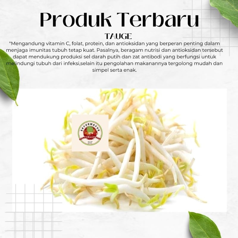 

Sayur Fresh 250gr 500gr 1kg Tauge segar murah fresh fast delivery