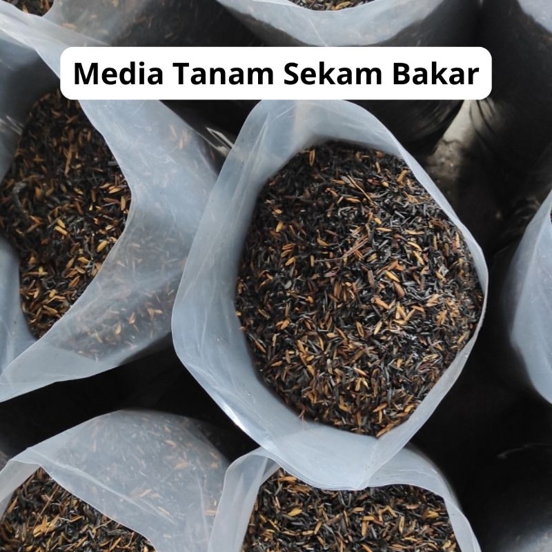 Media Tanam Sekam Bakar (500gr)/Sekam Bakar Siap Pakai/Sekam Bakar Murah