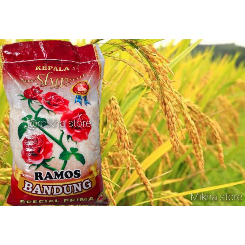 

Beras bunga bandung super 10 kg - free ongkir