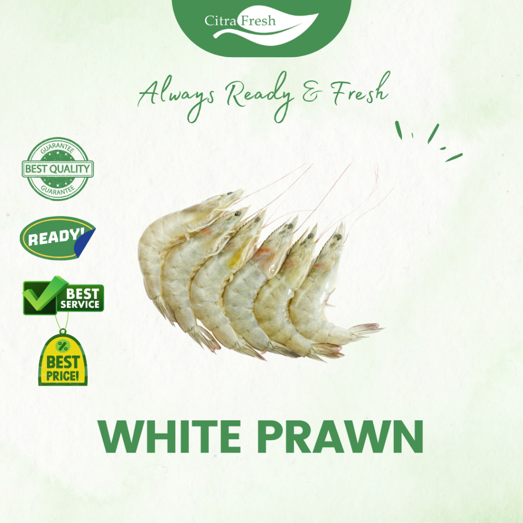 

CITRA FRESH - White Prawn 900 - 1000 Gram - Selalu Ready dan Fresh