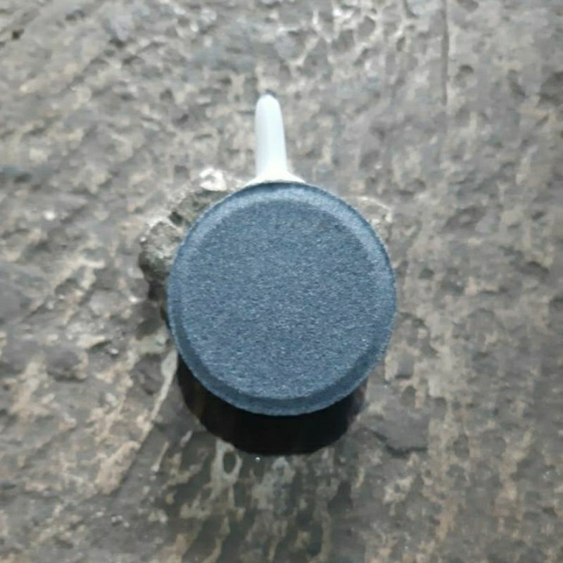 Airstone - Hiasan Aquarium - Batu Gelembung Air