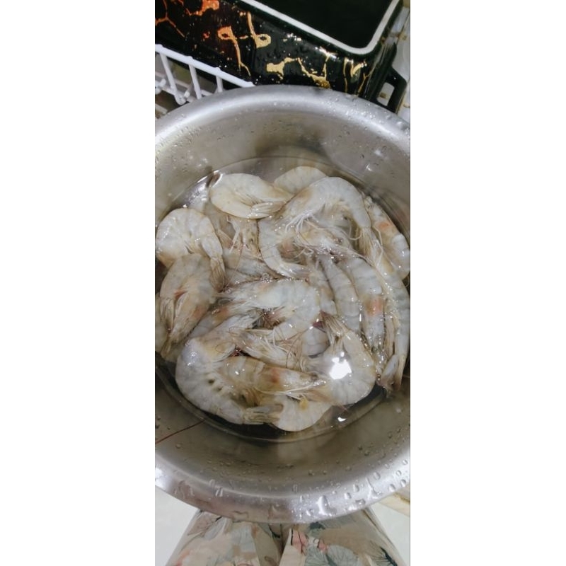 

udang segar 500gr