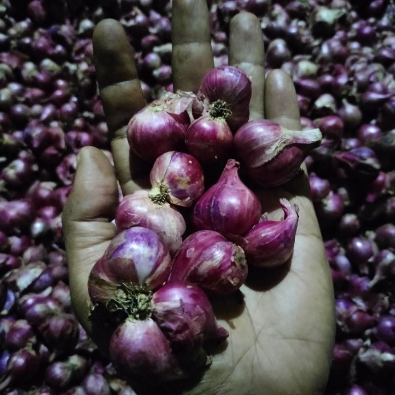 

bawang merah besar kemasan 1kg (kecil sudah keluar)
