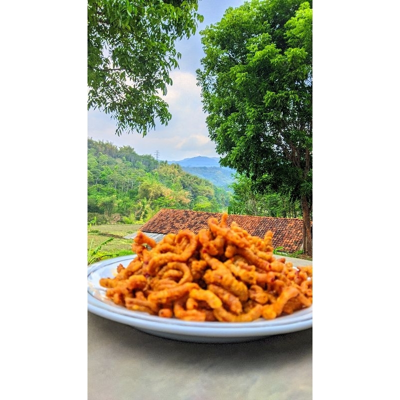 

usus krispi/kripik usus