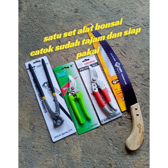 Paling Hemat paket alat bonsai gergaji lengkung gunting dahan catok bonsai