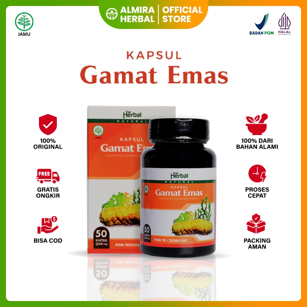 Gamat Emas Kapsul 50 Kapsul Original Obat Hernia Turun Berok Mr P Bengkak Varikokel Sudah Bpom Halal