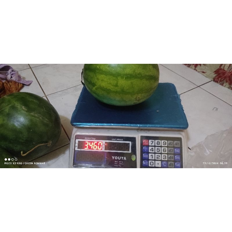 

Semangka berat 3,4 kg