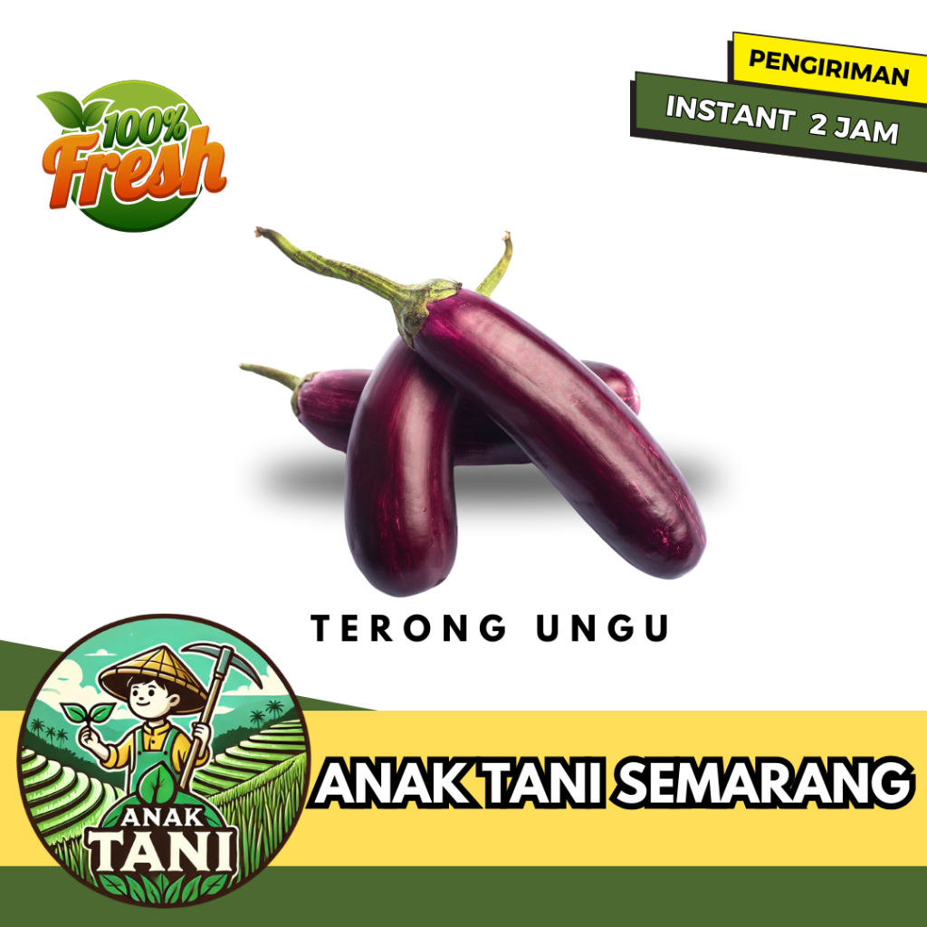 

[ANAK TANI] TERONG UNGU / KHUSUS TERONG LALAPAN PER 250 GR SIAP KIRIM INSTANT AREA SEMARANG