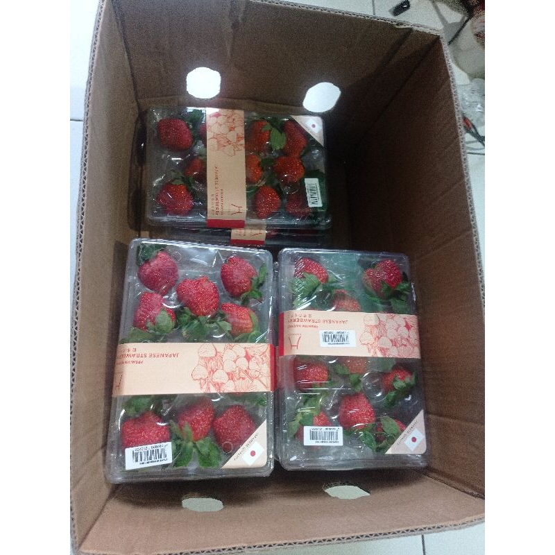 

Strawberry hyosi premium Bibit Jepang / pack